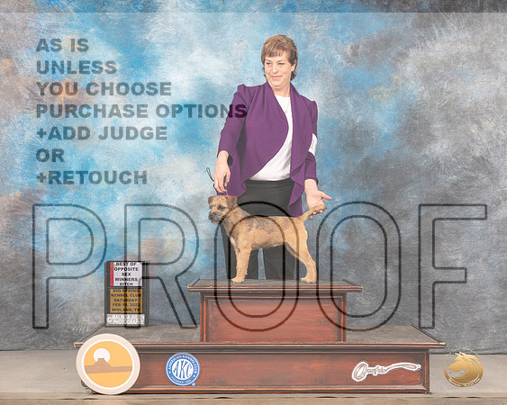 Border Terrier #10 WBBOS Judge Barbara AldermanMMJ_4029_Mdlnd2022_HR3