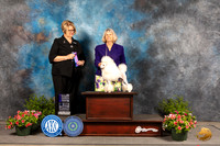 Poodle Miniature #20 Sun WB Judge Cindy Lane