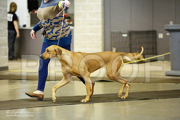 _RH_1413-BeltonJan2015IABCA-HR3