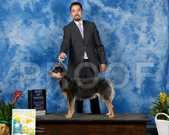 _ST_7573-SAJul2014-HR3