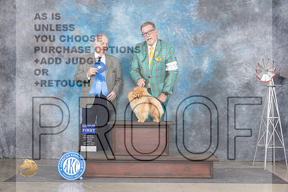 Pomeranian #19 Sun G1 Judge Rodney Merry__JP_6397_Amarillo_2024_HR3