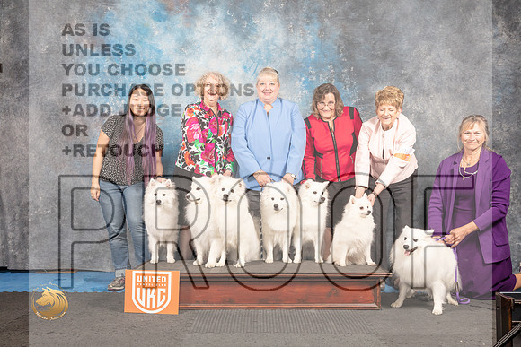 American Eskimo Group_MMJ_6738_Addison2022_HR3