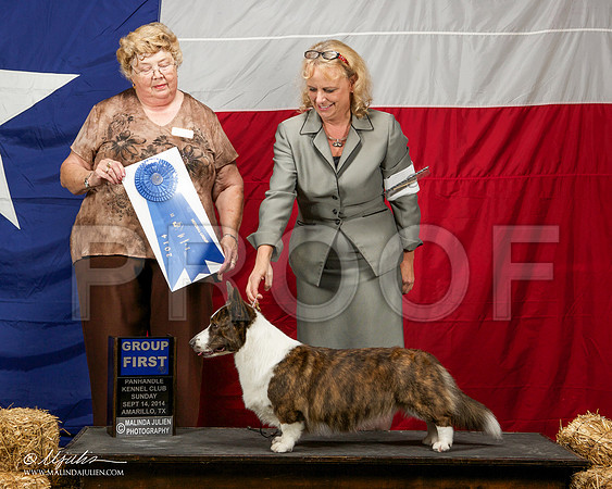 _ST_2150-AmarilloSep2014-HR3