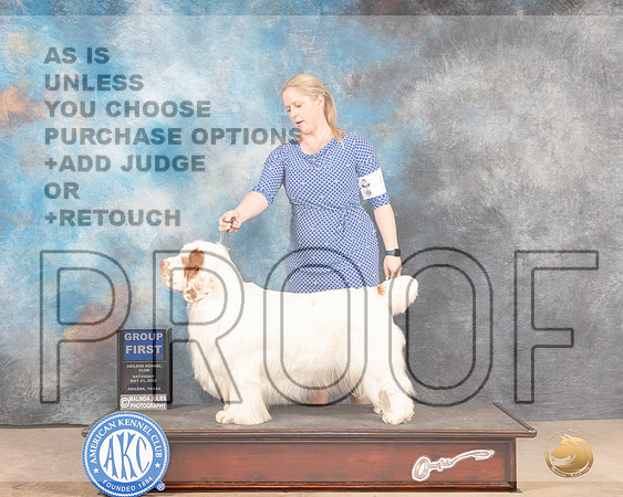Clumber Spaniel #5 Sat G1 Judge Pat Trotter-MMJ_4313-Abilene2022-HR3