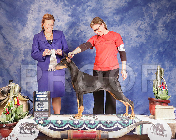 Dobe-3507-GRJan14-HR
