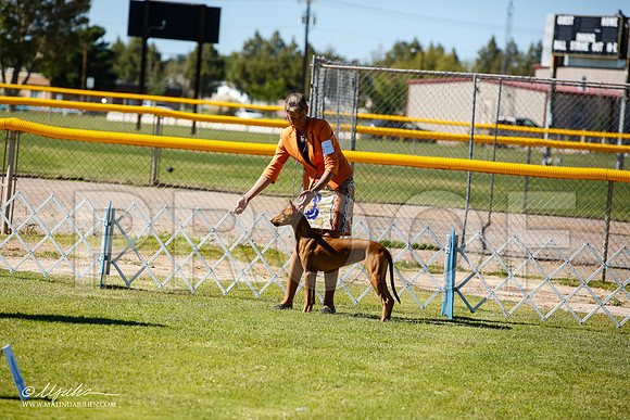 _JN_7126-AlamogordoOct2014-HR3