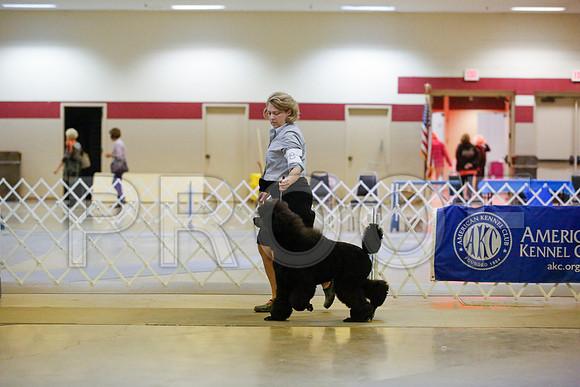 _JN_8019-AmarilloSept2014-HR3
