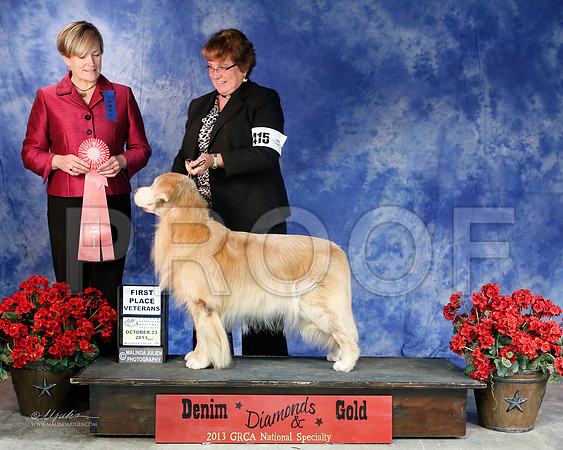 Vet-6325-WFOct2013-HR