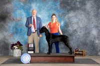 Cane Corso #6 Sun WBBOS Judge Eric Liebes