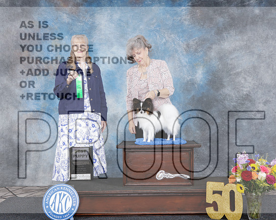 Papillon #5 Sat BPup Judge Nancy Simmons-_WP_4083e_Houston Toy Show 2025-HR3