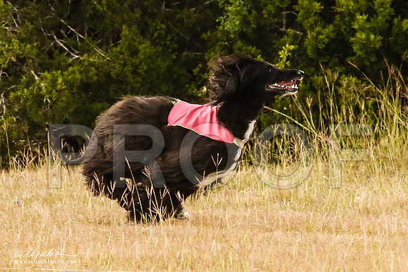 _MJ_4940-AfgBeltonOct2014-HR3