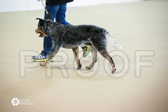 ACD-7599-HtoJan14-HR