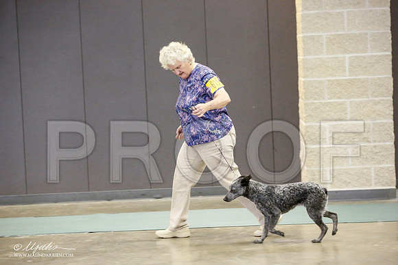 _JN_2562-BeltonJan2015-HR3