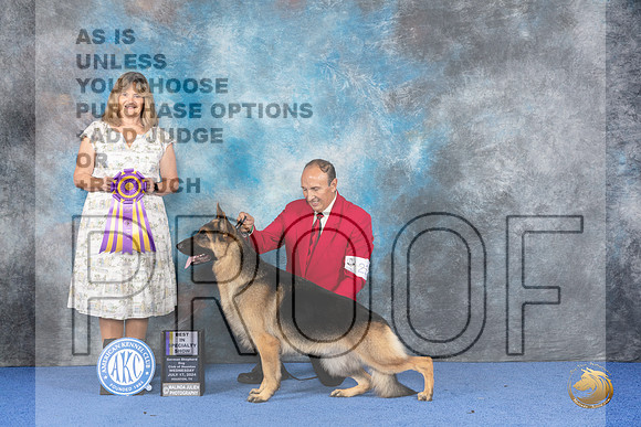 German Shepherd Dog #23 WED BOB Judge Danelle Brown__JP_6978_Houston_2024_HR3