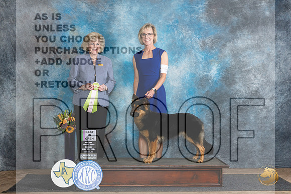 Bohemain Shepherd #6 Fri OBIS Judge Vicki Abbott__JP_9291_Abilene_2024_HR3