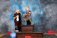 Itlaian Greyhound # 10 Sat OHG4 WBBOW Judge Carol White-Moser