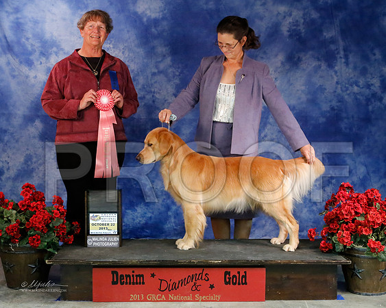 GunDog-8981-WFOct2013-HR