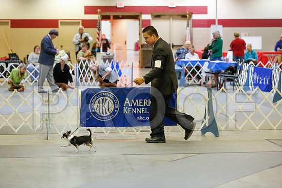 _JJ_2607-AmarilloSept2014-HR3