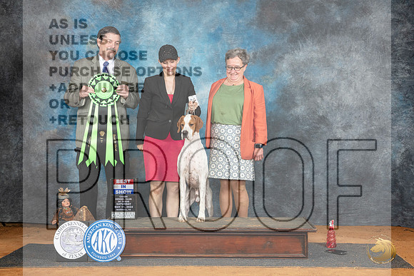 Pointer #5 Sat BIS Judge Jim Fehring__JP_8328_MARSHALL_2024_HR3