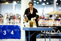 Toy Group Bred-By-Exhibitor Sat Ring
