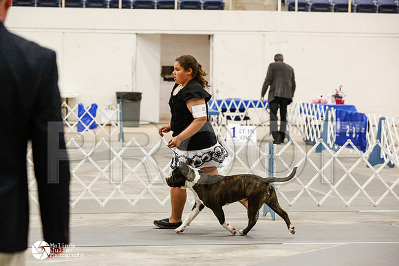 _CK_8706-AblnMay2014-web
