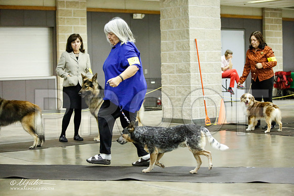 _JJ_7048-BeltonJan2015IABCA-HR3
