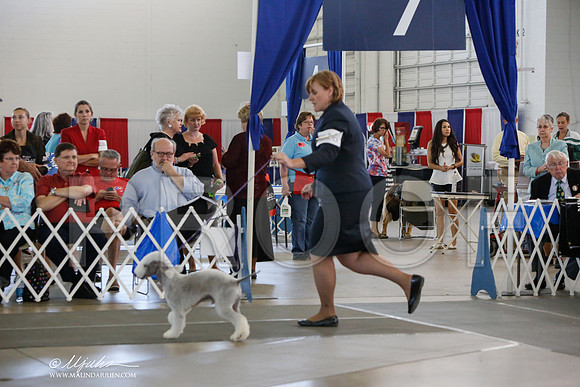 _JJ_2020-DallasJul2014-HR3