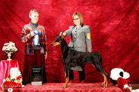Doberman Pinscher Sat S2 G1 Felicity Trammell Judge Glenda Bruneau