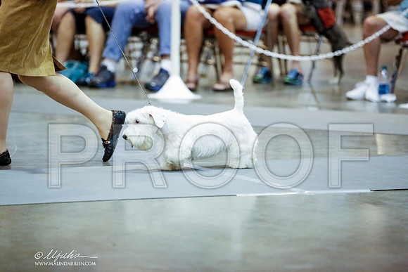 _JN_9623-HstnJul2014-HR3
