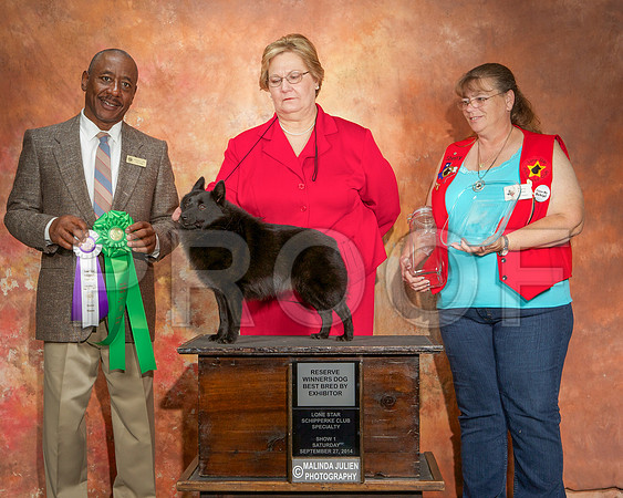 _ST_2400-CarlrolltonSept2014-HR3