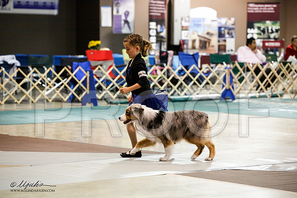 _JN_9113-ASCACollegeStationNov2014-HR3