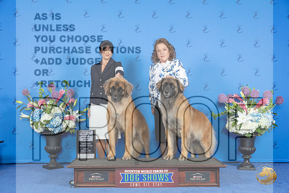 Leonberger #6 #8 FRI WB BOS M Judge Douglas Johnson__JP_8737_Houston_2024_HR3