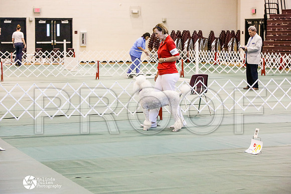 _JJ_2590-BsrCtyJun2014-HR3