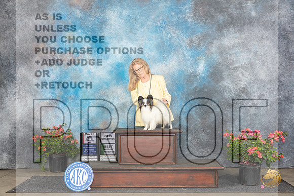 Papillion #17 Sat WDBOPBBreedByM Judge Azalea Alvarez__JP_4991_San Antonio_2024_HR3