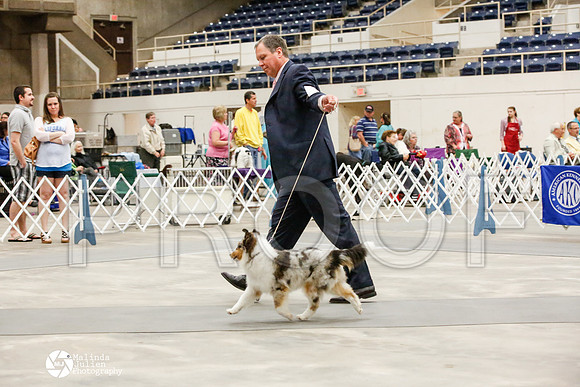 _JJ_1694-AblnMay2014-web
