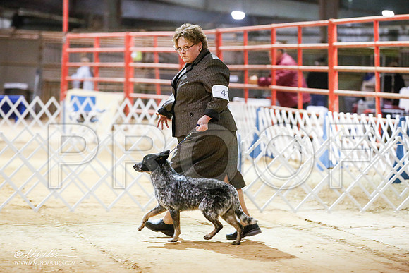 _JN_4255-2-GlenRoseJan2015-HR3