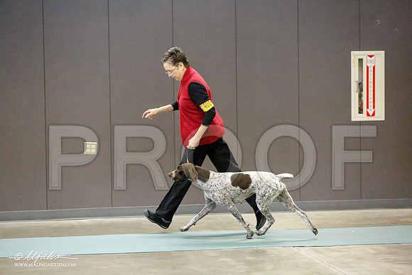 _RH_9853-BeltonJan2015-HR3