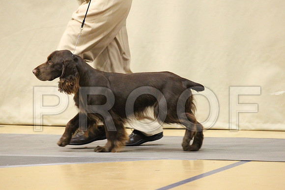 MJS_2723