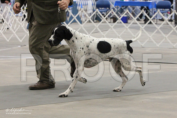 Pointer-9280LR