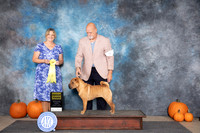 Chinese Shar Pei #6 Sat G3 Judge D. Brown