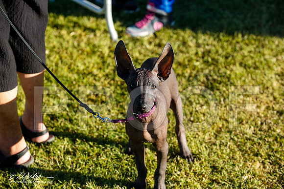 _JN_7926-AlamogordoOct2014-HR3