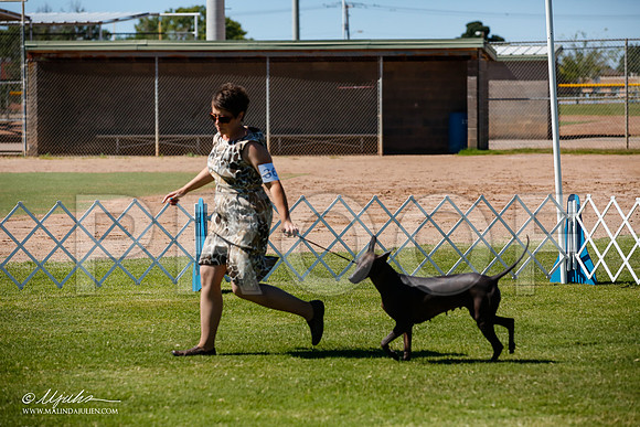 _JJ_8516-AlamogordoOct2014-HR3