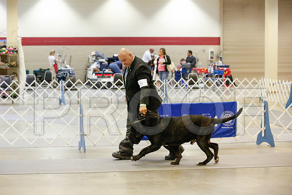 _JJ_1835-AmarilloSept2014-HR3