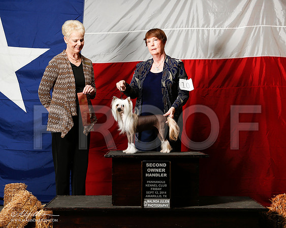 _ST_1531-2-AmarilloSep2014-HR3