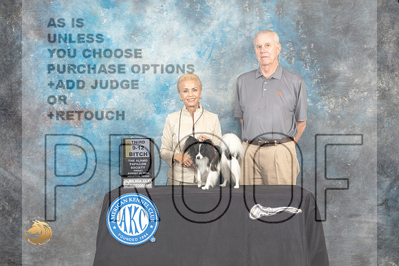 Papillon #16  Fri2 9to123rd Judge Jon Cole_MJ_9735_HstnTOY_2022_HR3