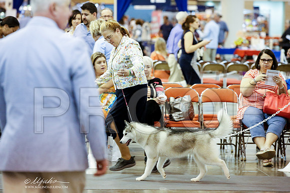 _JJ_4498-HstnJul2014-HR3