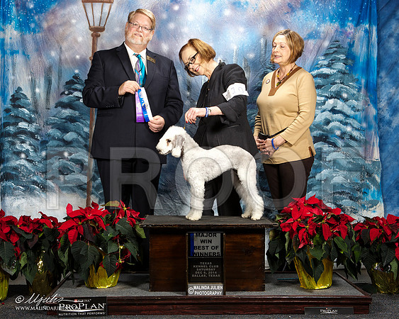 _ST_8507-DallasDec2014-HR3
