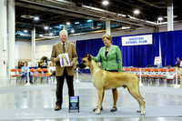 Great Dane #15 Fri BOB James T H James J Chiaravalle J Apuna S Taylor Agent Mari Lynn Davisson Judge C Coady