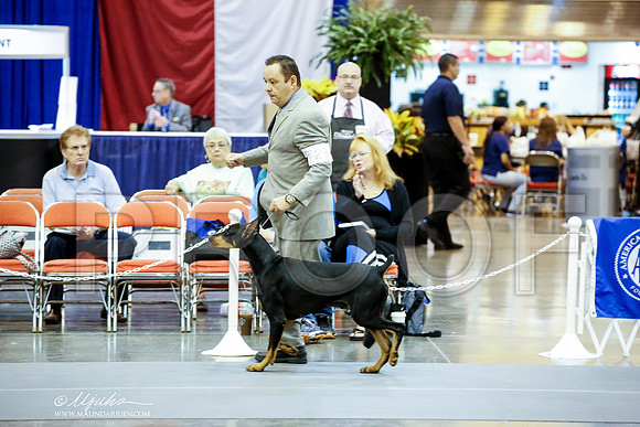 _JJ_3299-HstnJul2014-HR3