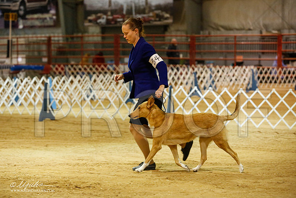 _JN_3214-2-GlenRoseJan2015-HR3